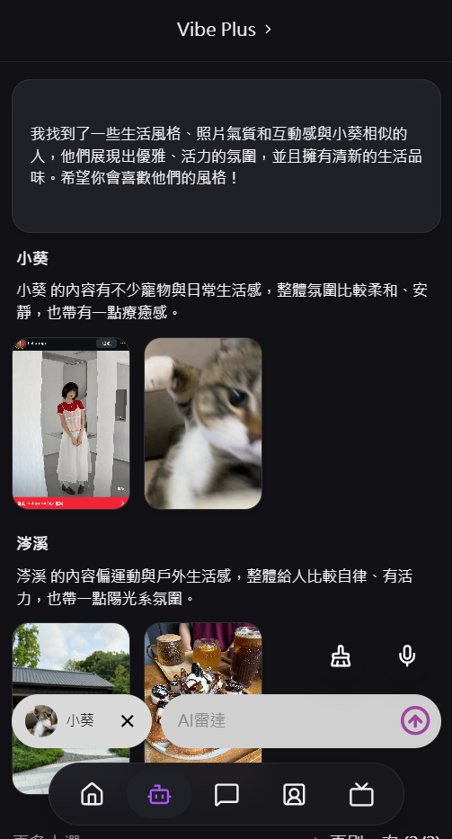 Vibelink beta preview 2